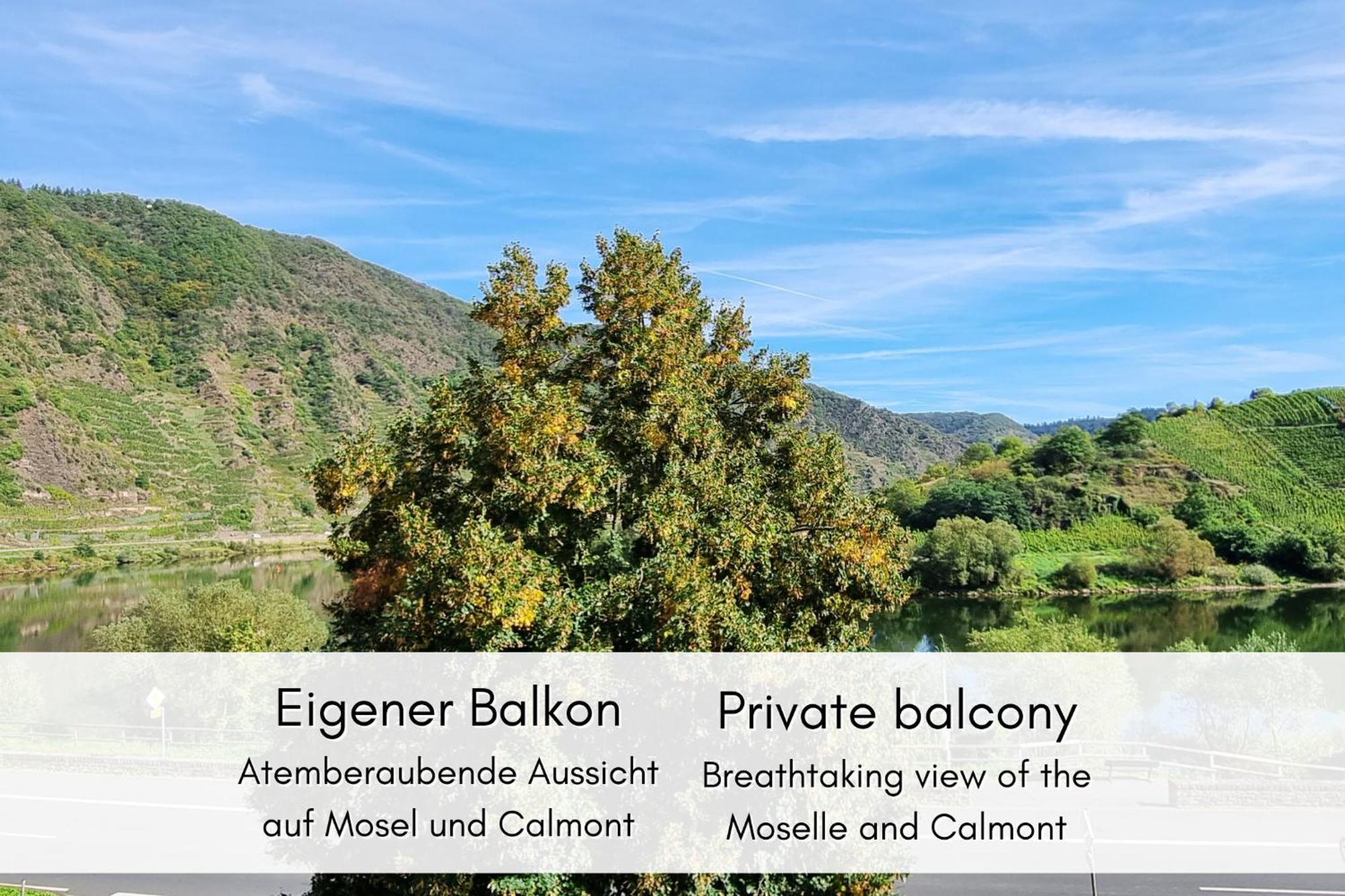 Winzerhaus Am Calmont - Raumwunder Mit Moselblick Apartment Bremm Luaran gambar